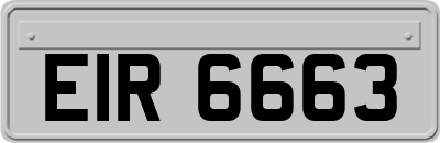 EIR6663