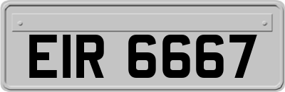 EIR6667