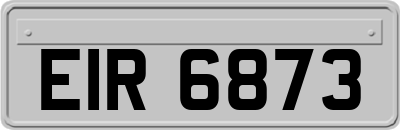 EIR6873