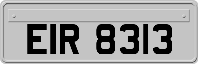 EIR8313