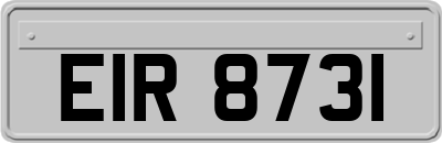 EIR8731