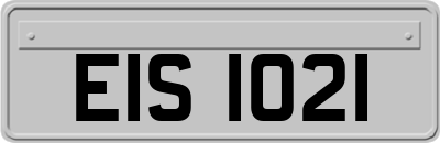EIS1021