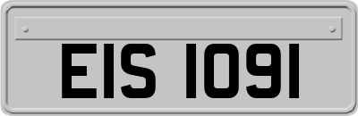 EIS1091