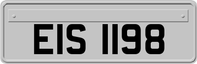 EIS1198