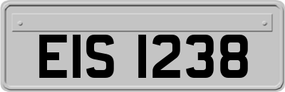 EIS1238