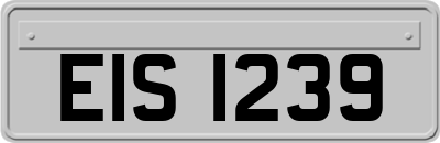 EIS1239