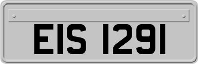 EIS1291