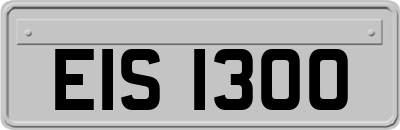EIS1300