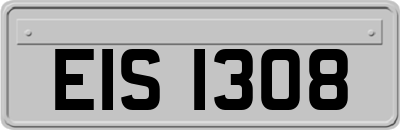 EIS1308