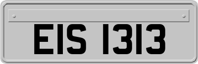 EIS1313