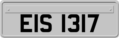EIS1317