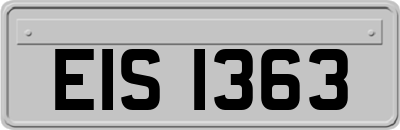 EIS1363