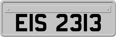EIS2313