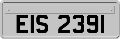 EIS2391