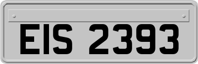 EIS2393