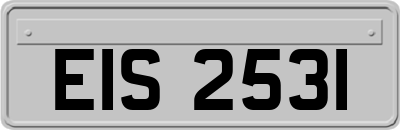 EIS2531