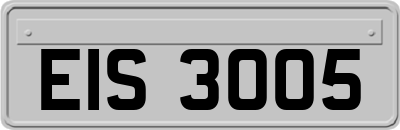 EIS3005