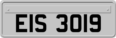 EIS3019