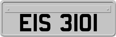 EIS3101