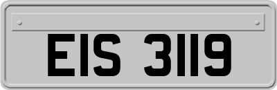 EIS3119