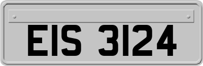 EIS3124