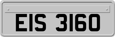 EIS3160