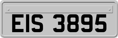 EIS3895