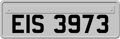 EIS3973