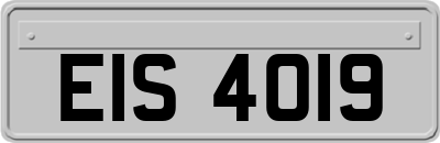 EIS4019