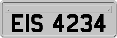 EIS4234