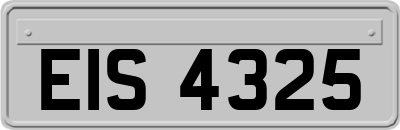 EIS4325