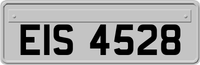 EIS4528