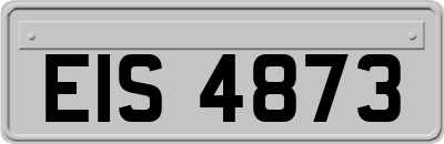 EIS4873