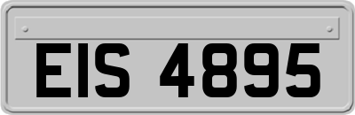 EIS4895
