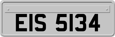 EIS5134