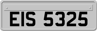EIS5325