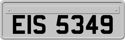 EIS5349