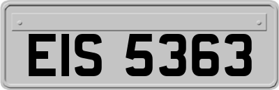 EIS5363