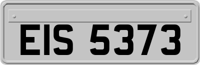 EIS5373