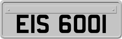EIS6001