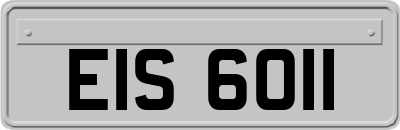 EIS6011