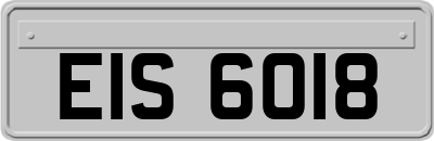 EIS6018