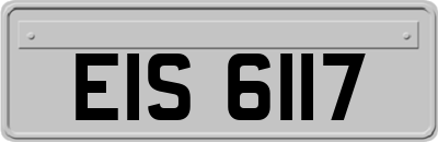 EIS6117