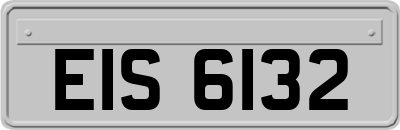 EIS6132