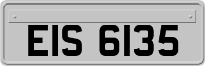 EIS6135