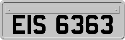 EIS6363
