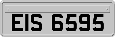 EIS6595