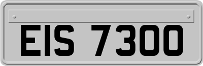EIS7300