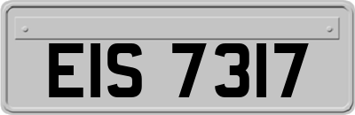 EIS7317