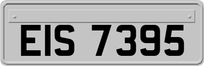EIS7395